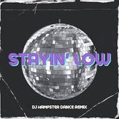 Stayin' low (DJ Hampster Dance Remix)