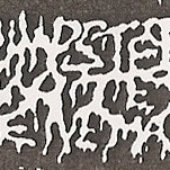 Dumpster Water Enema logo