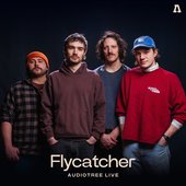 Flycatcher on Audiotree Live