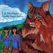 Cat Mountain