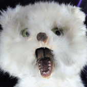 Avatar for petpetpark