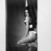by Dana Trippe