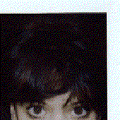 LastFM profile picture for @submarines