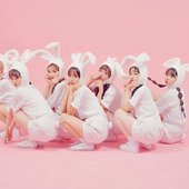 핑크판타지.jpg
