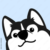 Shiba_Sky 的头像