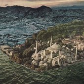 Cut That Dead Tree Down Already