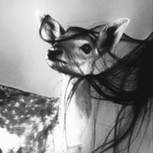 Avatar for epilosoma