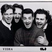 Vidia (IT).jpg