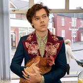 harrychook.png