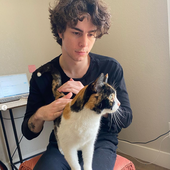 kitty