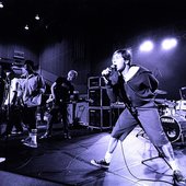  The Dingees Live