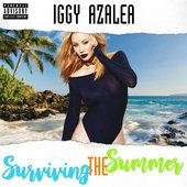 Surviving The Summer  