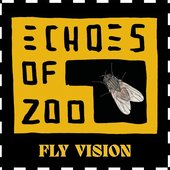 Fly Vision