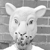 0032086231_10.jpg