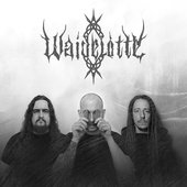 waidelotte-bandfotos-2024.jpg