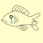 kingfisherstan 的头像