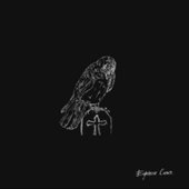 Eighteen Crows