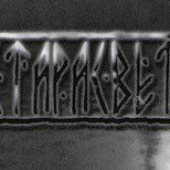 Старасвет logo