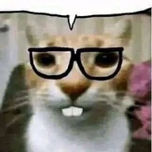 looq1e 的头像