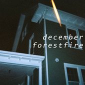December Forest Fire