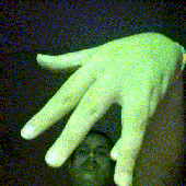 miniGif_20220820124002.gif