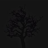 tree2.jpg