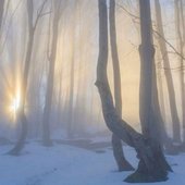 artworks-85gMu4LvTXoh-0-t500x500.jpg