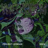 Wieczorem (feat. Koza) - Single