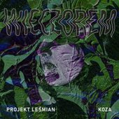 Wieczorem (feat. Koza) - Single