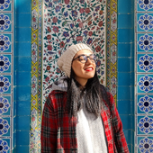 Avatar for Meshoseinnejadi
