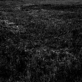 the last farmer