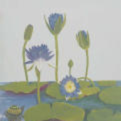 Avatar di bluewaterlily