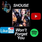 Shouse - Won't Forget You