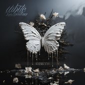 Rebirth