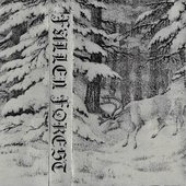 Fallen Forest — Demo I (2019)