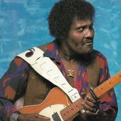 Albert Collins_8.jpg