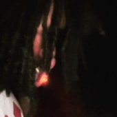 fried