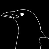 Trami's Bandcamp Profile Pic