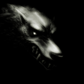 Icewolfer93 için avatar