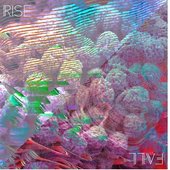 Rise / Fall