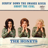 Surfin' Down the Swanee River