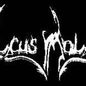 logo.jpg