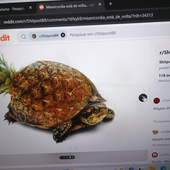 GuizitosPepitos 的头像