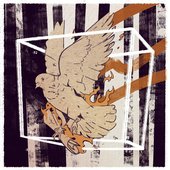 Carrier Pigeons - Single
