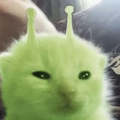Avatar de pedroschmitz