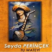 seyda perinçek - tu wateyi