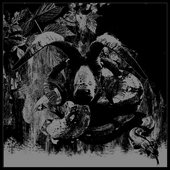 "Graves Among the Roots" cover