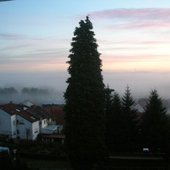 Early morning view from studio (Germany)