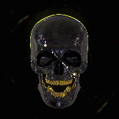 Avatar for x4rkd