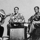 sonsofhawaii.jpg